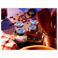 IKEA Rajtan Cam 15 cl Baharat Kavanozu