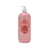 Inebrya Prep Deep Cleansing Arındırıcı 1 lt Şampuan