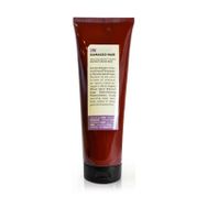 Insight 250 ml Damaged Hair Restructurizing Maske