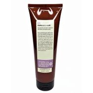 Insight Damaged Hair Restructurizing 250 ml Onarıcı Saç Maskesi