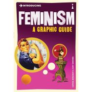 Introducing Feminism: A Graphic Guide - Cathia Jenainati