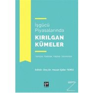 İşgücü Piyasalarında Kırılgan Kümeler - Hasan Ejder Temiz