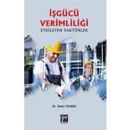 İşgücü Verimliliği Etkileyen Faktörler - Yasin Yılmaz