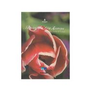 İSTANBUL'DA LALE ZAMANI İSTANBUL - TIME OF THE TULIPS - KOLEKTIF