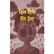 İşte Öyle Bir Şey - Tevfik Avni Cemal