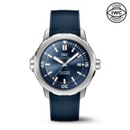 IWC IW328801 Erkek Kol Saati