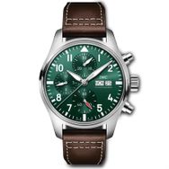 IWC IW388103 Erkek Kol Saati