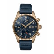 IWC IW388109 Erkek Kol Saati