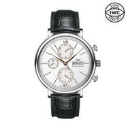 IWC IW391031 Erkek Kol Saati