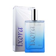 Ixora E068 Silver Man EDP 50 ml Erkek Parfüm