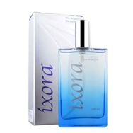 Ixora Imblack E290 EDP 100 ml Erkek Parfüm