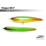 Jack Fin Pelagus 165-F Parrot Sahte Yem