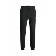 Jack & Jones 12165322 Gordan Shark Erkek Eşofman Altı