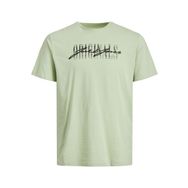Jack & Jones 12205668 Yeşil Erkek T-shirt