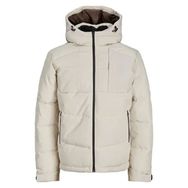 Jack & Jones 12239001 Moonbeam Krem Suya Dayanıklı Jcootis Sn Erkek Günlük Mont