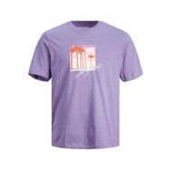 Jack & Jones 12243638 Mor Erkek T-shirt