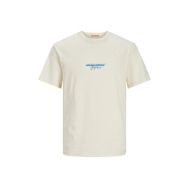 Jack & Jones 12255557 Erkek T-shirt