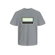 Jack & Jones 12259908 Erkek T-shirt