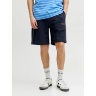 Jack & Jones 12292565 Stkarı Norrebro Loose Fit Erkek Şort