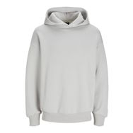 Jack & Jones Jcoclean Sweat Hood LN Gri Erkek Sweatshirt