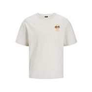Jack & Jones Jcoholger Tee SS Moonbeam Bisiklet Yaka Erkek T-shirt