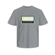 Jack & Jones Jcologan Summer Print Tee Crew Neck FST Gri Erkek T-shirt