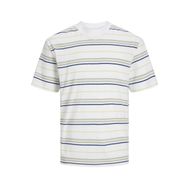Jack & Jones Jcolotus Stripe Tee Ss Beyaz Çizgiler Çöl Mavi Misket Limonu Bisiklet Yaka Erkek T-shirt