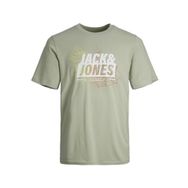 Jack & Jones Jcomap Summer Logo Tee Ss Crew Neck SN Çöl Sage Erkek T-shirt
