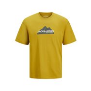 Jack & Jones Jcomountain Logo Tee Ss Altın Palmiye Bisiklet Yaka Erkek T-shirt