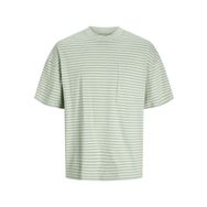 Jack & Jones Jcotanical Stripe Tee Ss Crew Neck Sn Çöl Sage Erkek T-shirt