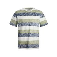 Jack & Jones Jjcoast Çizgili Pacific Coast Regular Fit Yuvarlak Yaka Erkek T-shirt