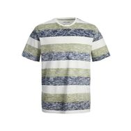Jack & Jones Jjcoast Çizgili Yağlı Yeşil Regular Fit Yuvarlak Yaka Erkek T-shirt