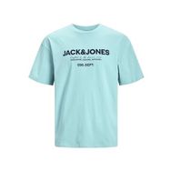 Jack & Jones Jjgale Tee Ss O-Neck Yatıştırıcı Deniz Erkek T-shirt