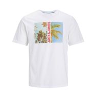 Jack & Jones Jjnavin Tee Ss Beyaz Bisiklet Yaka Erkek T-shirt