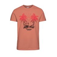 Jack & Jones Joraruba Tee Ss Crew Neck 1 FST Somon Rengi Erkek T-shirt