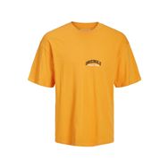 Jack & Jones Jorbrink Studio Tee SS Iceland Poppy Bisiklet Yaka Erkek T-shirt