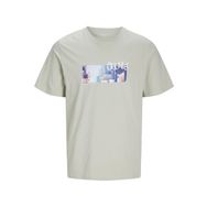 Jack & Jones Jorbushwick Blur Tee Ss Mineral Gri Bisiklet Yaka Erkek T-shirt