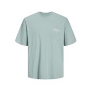Jack & Jones Jorsantorini Gri Mist Back Tee Ss Crew Neck Sn Erkek T-shirt