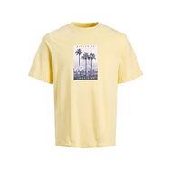 Jack & Jones Jorsplash Photo Tee Ss Crew Neck Sarı Bej Erkek T-shirt