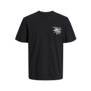 Jack & Jones Jortampa Back Tee Ss Crew Neck Sn Siyah Erkek T-shirt