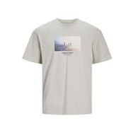 Jack & Jones Jorvesterbro Picture Tee Ss Crew Neck Sn Moonbeam Erkek T-shirt
