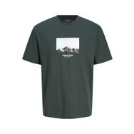 Jack & Jones Jorvesterbro Picture Tee Ss Crew Neck SN Orman Nehri Detay AW24 Erkek T-shirt