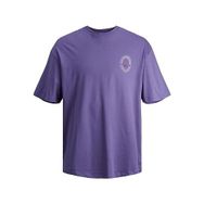 Jack & Jones Jorvilleraybright Tee Ss Crew Neck LN Mor Twilight Purple Polo Erkek T-shirt