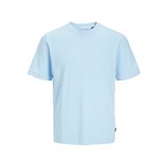Jack & Jones Jprblaspencer SS Tee Hollanda Kanalı Erkek T-shirt