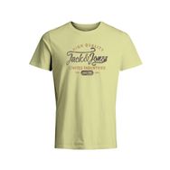 Jack & Jones Jprblulouie Ss Tee Crew Neck FST Soluk Misket Limonu Sarısı Erkek T-shirt