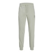 Jack & Jones Jpstgordon Jjswift Sweat Pants Desert Sage Erkek Pantolon