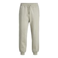 Jack & Jones Jpstkane Jjfrederiksberg Sweatpants GMS Soğuk Yeşil Erkek Pantolon