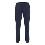 Jack & Jones Jpstwill Jjcloud Sweat Pants Noos Antrasit Erkek Pantolon