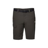 Jack Wolfskin 1503781-5043 Hoggar Erkek Şort