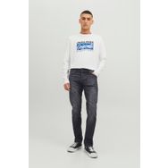 Jack&Jones 12111026 Black Denım Glenn Erkek Kot Pantolon